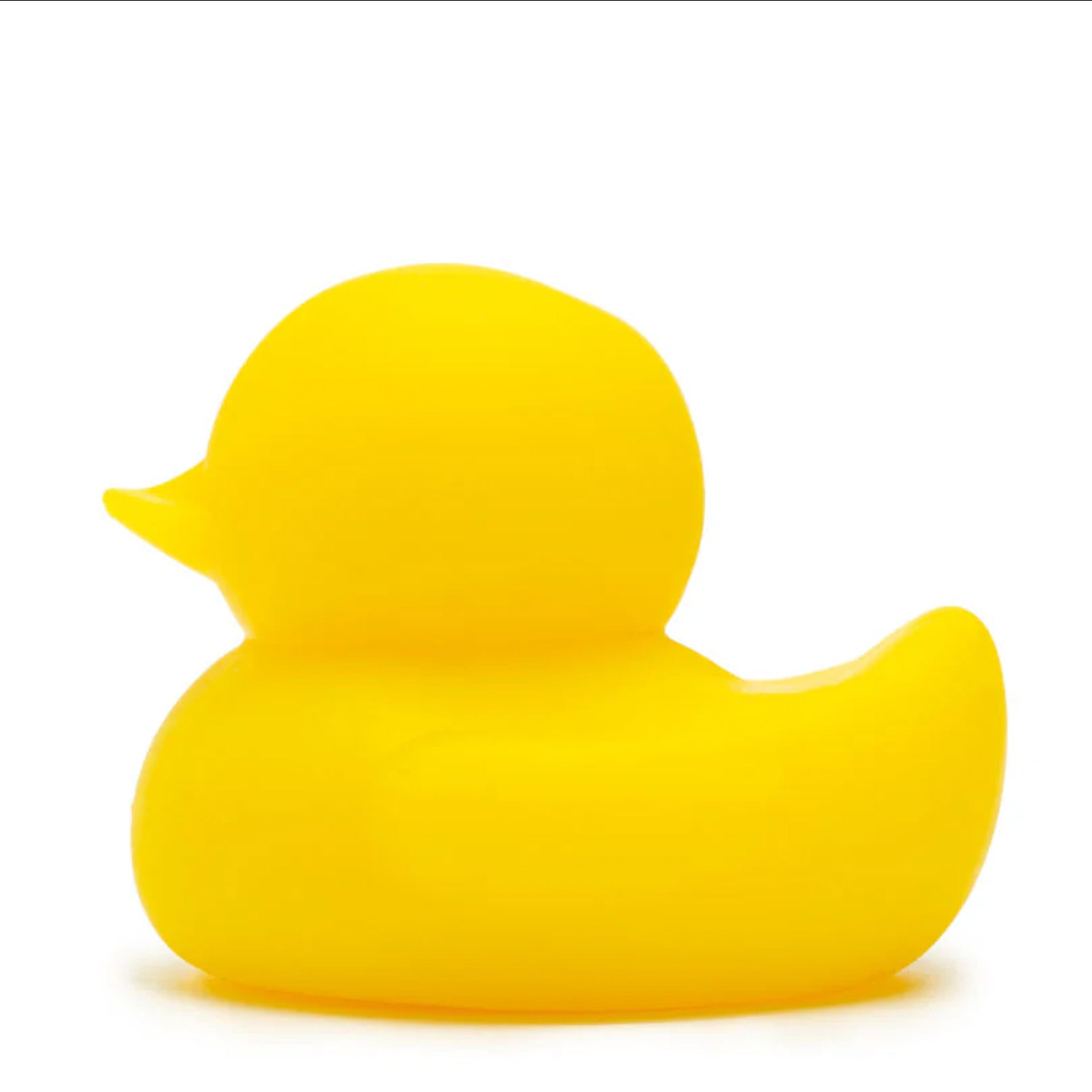 APOF Lucky Duck