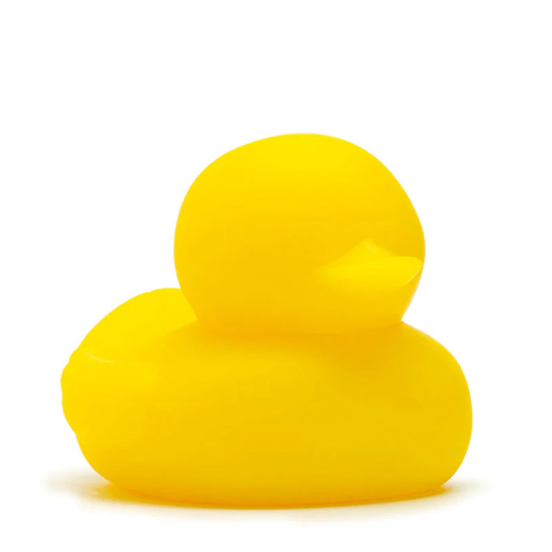 APOF Lucky Duck