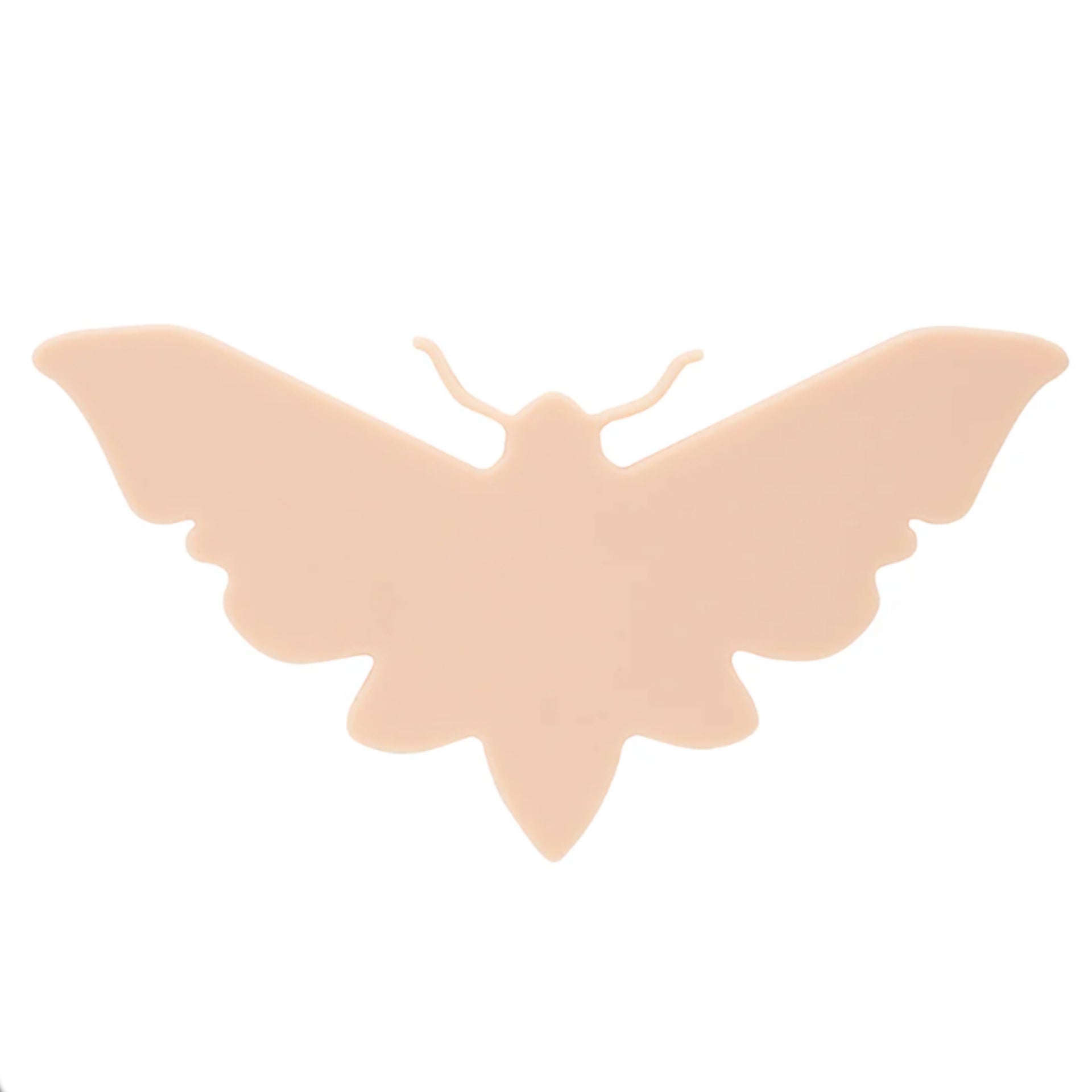 APOF Moth Practice Canvas