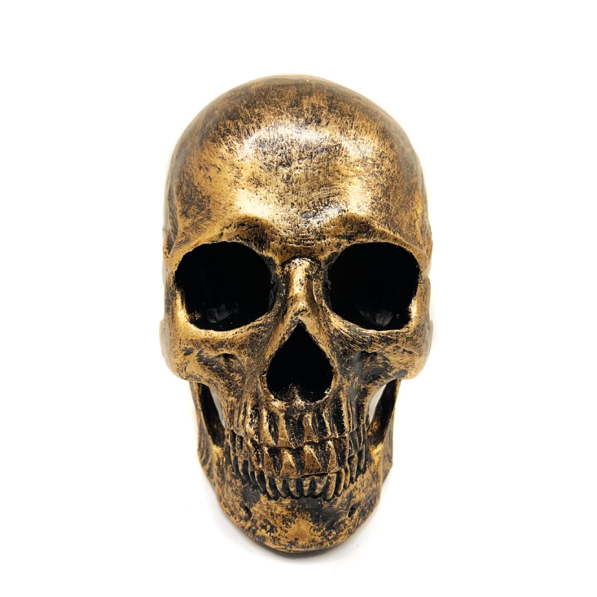 Decorative Studio Display Piece