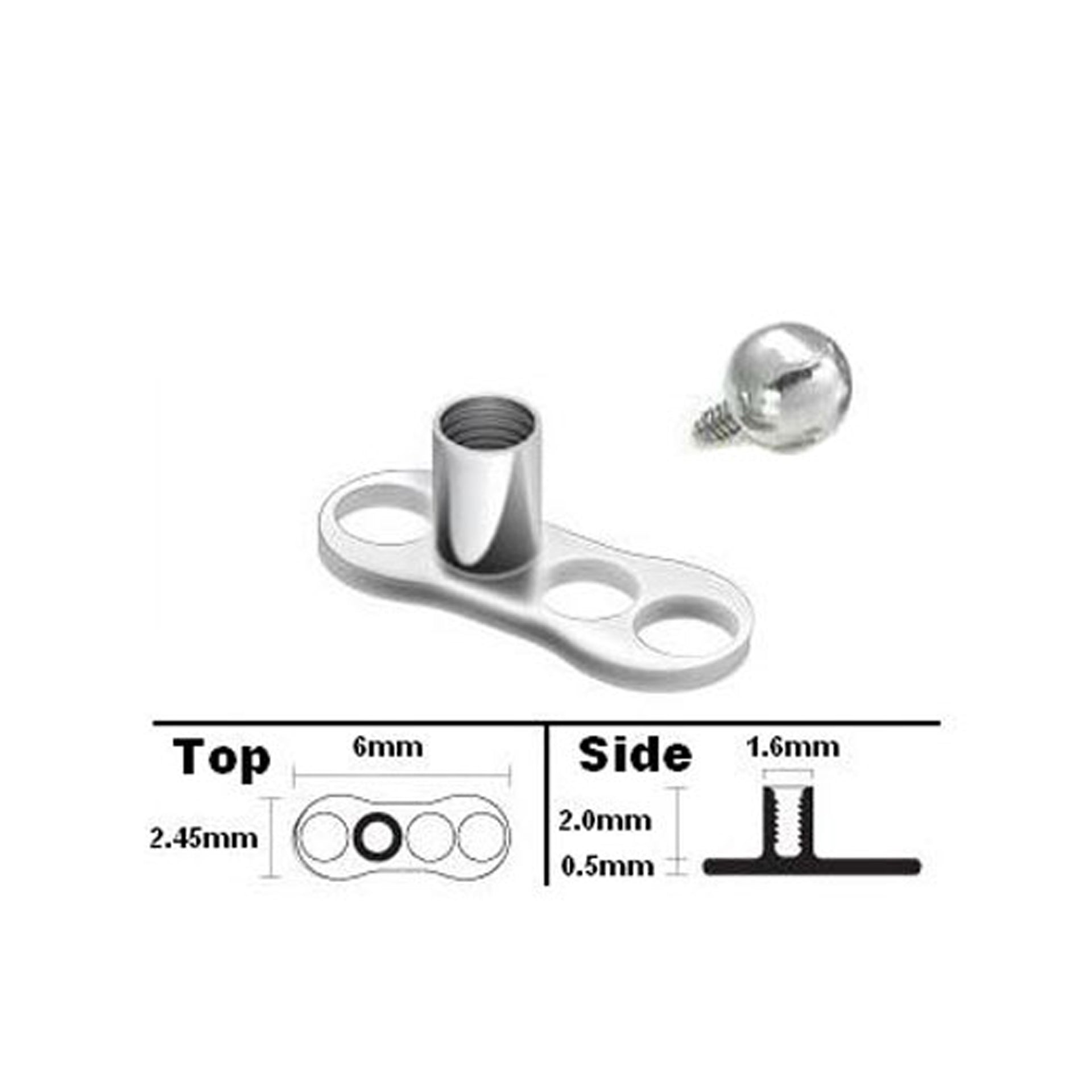 Body Piercing Jewelry